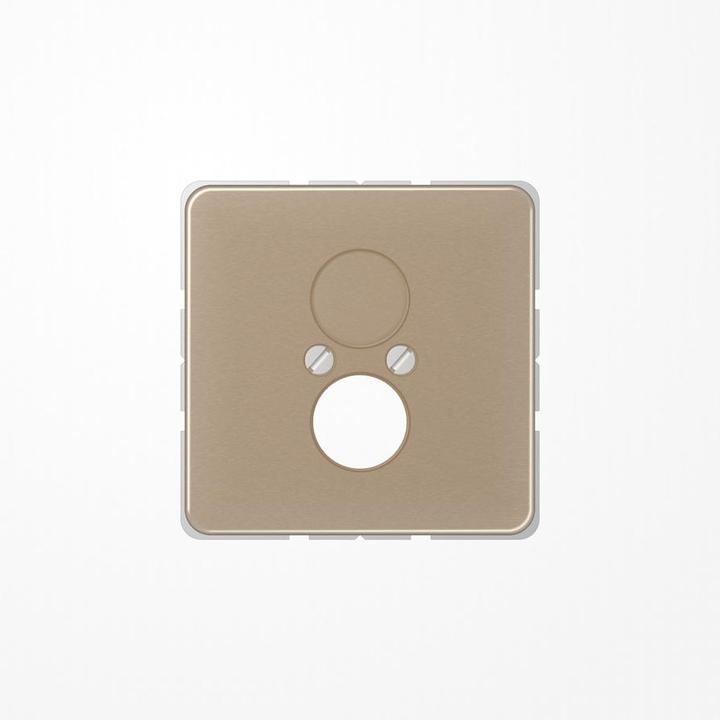 Actual product image JUNG Central plate LS 2f CD go/brz glz CD562GB