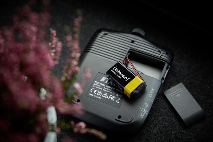 Actual product image Intenso Energy Ultra (1 pcs., 9V Block, 560 mAh)