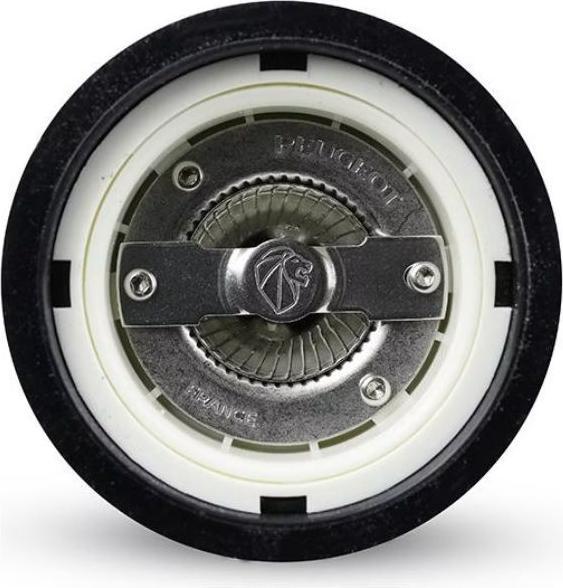 Actual product image Peugeot Paris (Salt)
