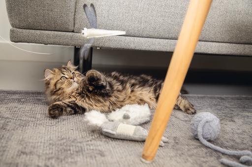 Image du produit Beeztees Lama jouet pour chaton (Jouets avec herbe à chat)