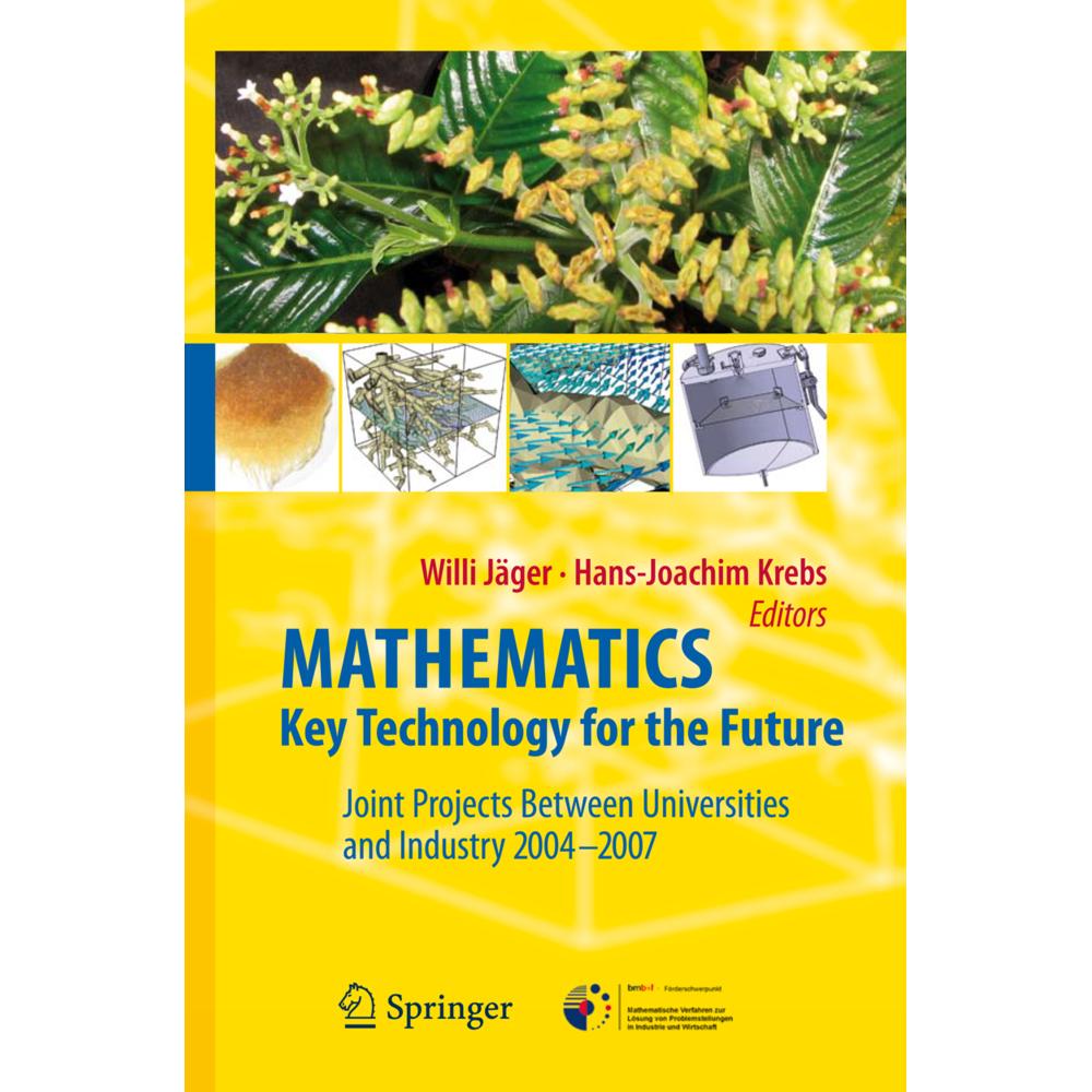 Mathematics - Key Technology for the Future, Fachbücher von Hans-Joachim Krebs, Willi Jäger