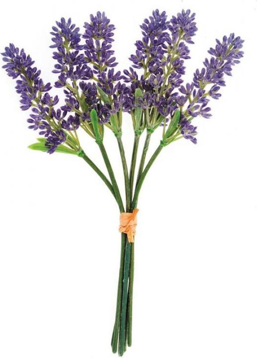Immagine prodotto Glorex Lavendelsträusschen 18cm (18 cm)