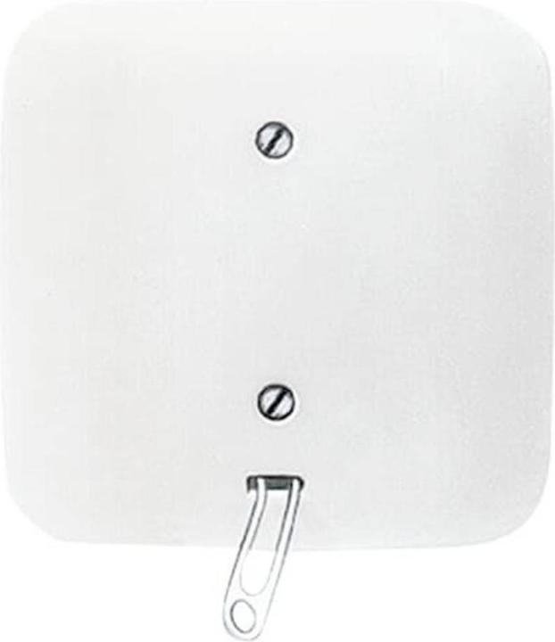 White, Pure white (ral 9010)