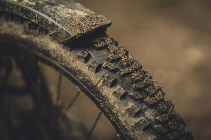 Actual product image Schwalbe Smart Sam Cargo (20 x 2.35, 60-406)