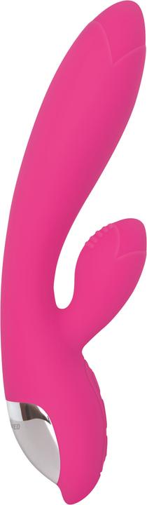 Actual product image Evolved Tempting tulip