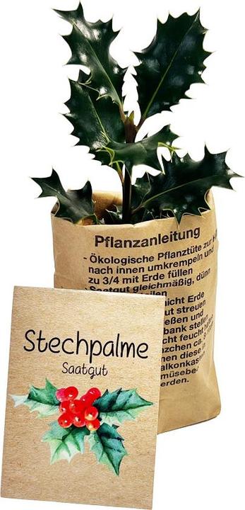 Produktbild Wunderle Wundertüte Rauhnächte 12 Wünsche Ritual (1x)