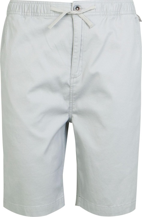 Actual product image Regatta Mens Aldan Chino Shorts (40)