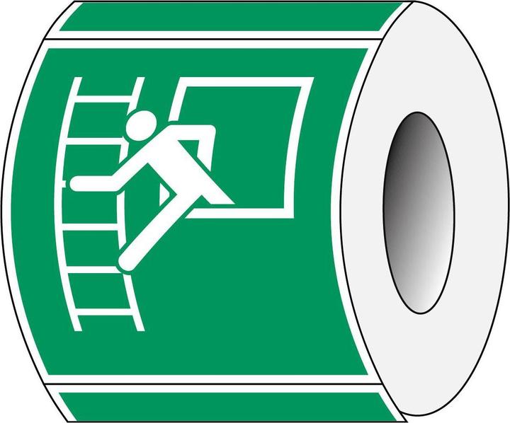 Image du produit Brady ISO 7010 PIC E016 B-7541 ISO Signalisation de sécurité - Echelle d'évacuation Polyeste laminé