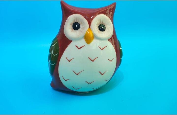 Roost Cassa di risparmio 12x9,5x14 cm