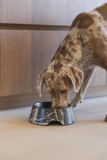 Actual product image Designed by Lotte Dog bowl Meis (0.70 l)