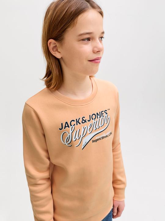 Produktbild Jack & Jones Sweatshirt Junior Sweatshirt (164)