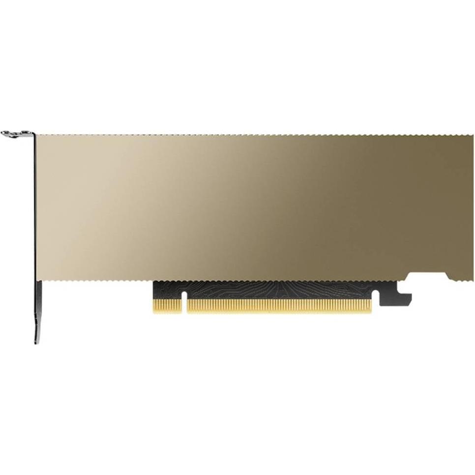 Pny Modulo Nvidia L4 24GB 1X Lp (24 Gb), Scheda Grafica