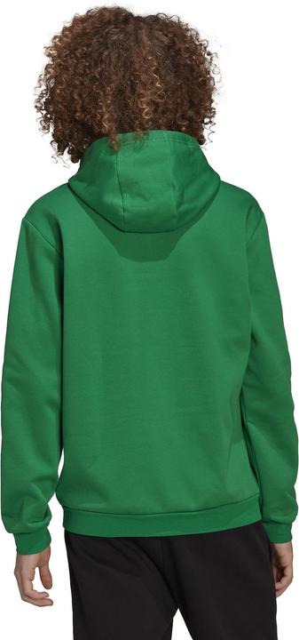 Image du produit adidas Sweat à capuche Entrada 22 Hommes (XS)