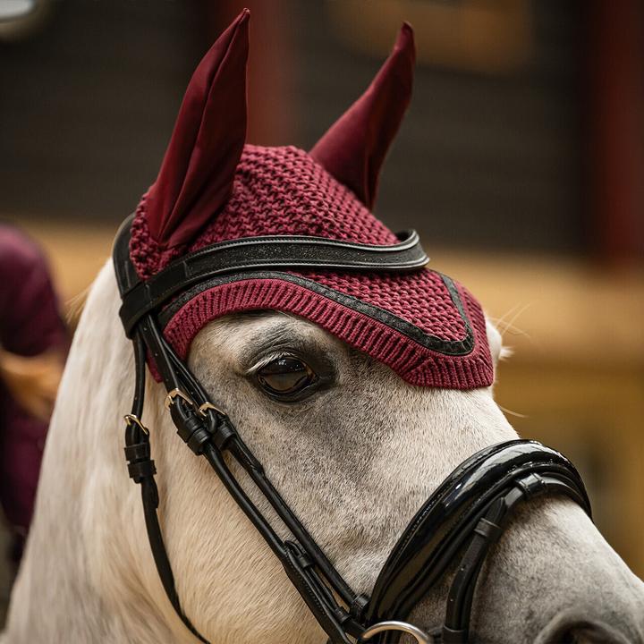 Actual product image Qhp Zahra