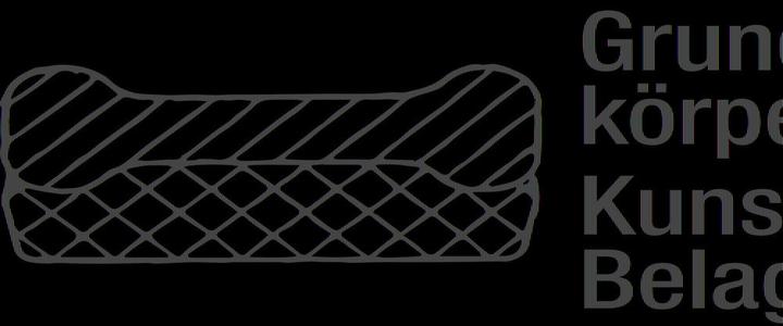 Actual product image HAZET Tyre and mounting lever