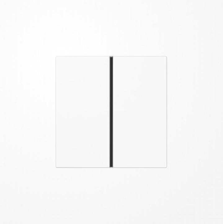 Actual product image JUNG LS 401 TSA WW