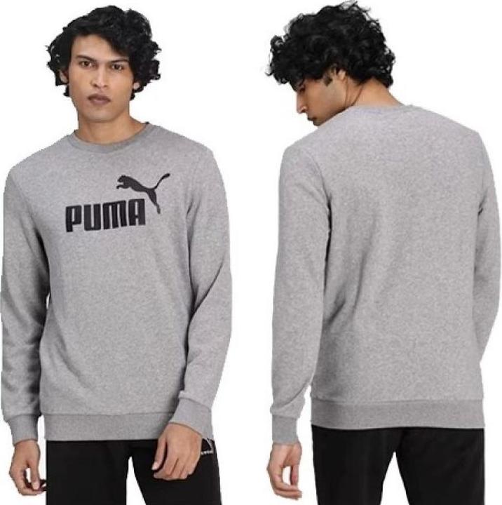 Actual product image Puma ESS Big Logo Crew-586680 (S)