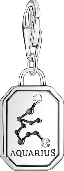 Produktbild Thomas Sabo Charm-Anhänger Sternzeichen Wassermann mit Steinen Silber (925er Silber)