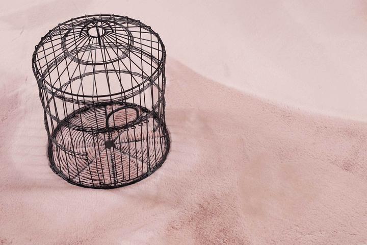 Produktbild Esprit Alice (120 x 170 cm)