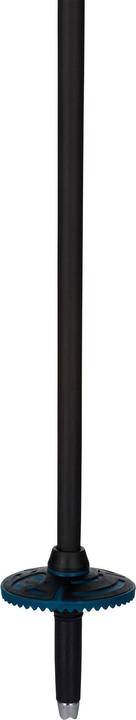 Produktbild Rossignol Electra Premium Carbon Skistöcke