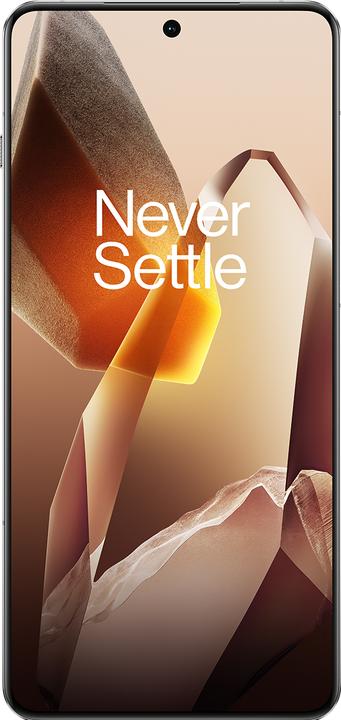 Produktbild OnePlus 13 (512 GB, Arctic Dawn, 6.82", Dual SIM, 5G)
