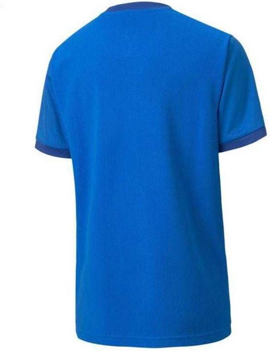 Produktbild Puma TeamGoal TShirt (140)