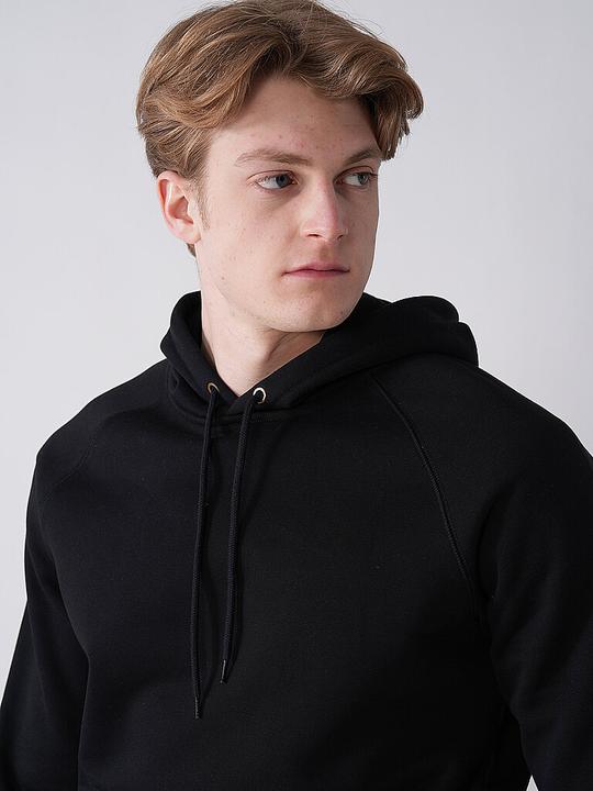Actual product image Carhartt Kapuzensweater (L)