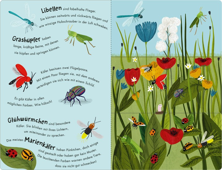 Produktbild Bienen & Käfer – Ein Klipp-Klapp-Buch über Krabbeltiere (Deutsch)