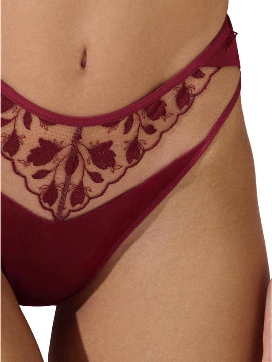 Produktbild Lisca Gloriosa (40, Einzelpack)