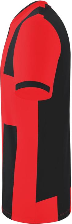 Image du produit Erima Maillot Siena 3.0 (M)