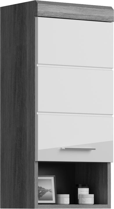 Xonox Home Scout (37 x 24 cm)