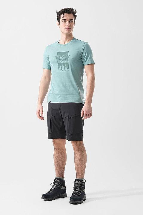 Actual product image Salewa Eagle 3Cime T-Shirt M (50, L)