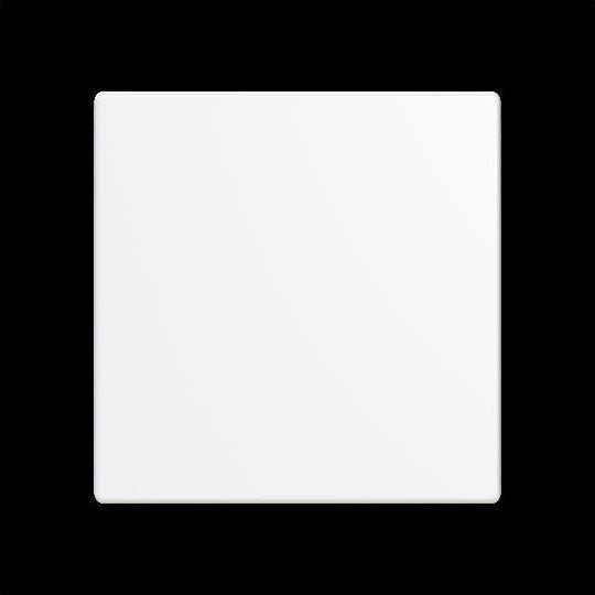 White RAL number (similar) :9016