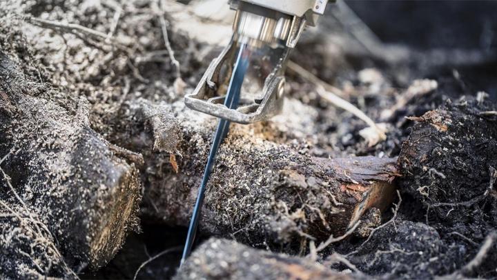 Produktbild Bosch Professional Zubehör EXPERT ‘Tough Wood’ S 1142 KHM Säbelsägeblatt, 1 Stück