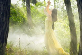 Immagine prodotto Venus Optic Laowa 105mm f/2 STF Canon (Canon EF, APS-C / DX, Full frame)