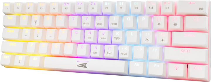 Actual product image Baracuda Computer keyboard BGK-03211 Dolphin White US Mechanical Red Switches (US, Cable)