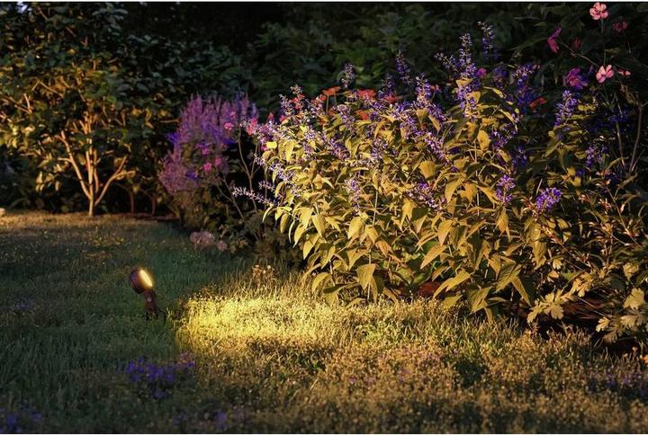 Actual product image Paulmann Sting Spot Insect Friendly (580 lm, IP67)