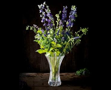 Produktbild Nachtmann Saphir (1x)