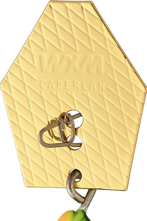Image du produit Caperlan Codes métalliques Vibration Eau douce