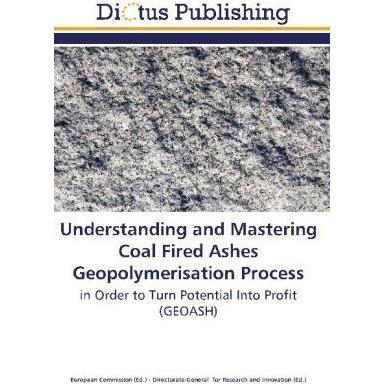 Understanding and Mastering Coal Fired Ashes Geopolymerisation Process, Fachbücher