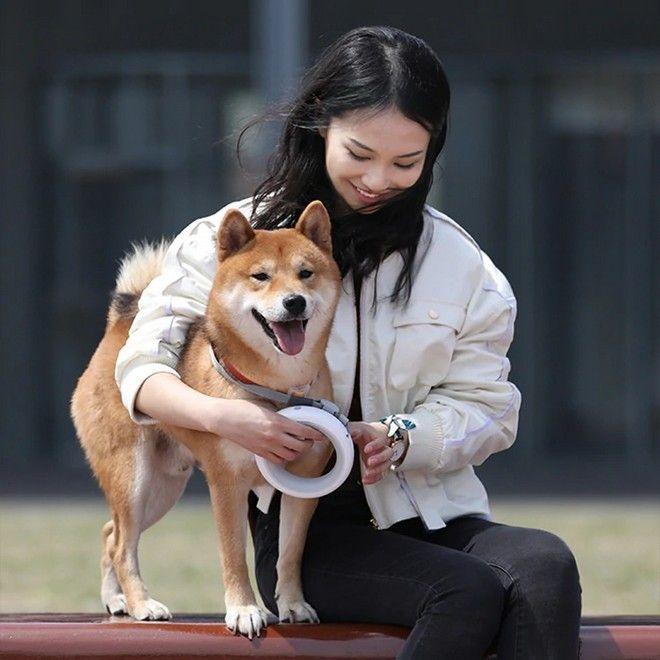 Actual product image Moestar Ufo