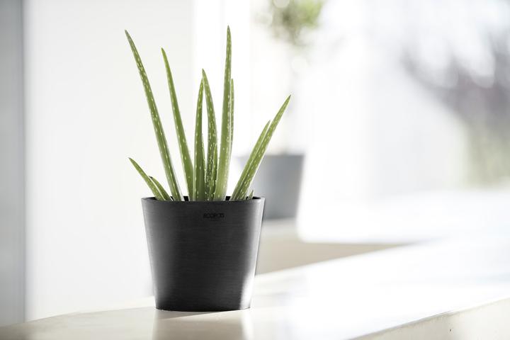 Immagine prodotto Ecopots Amsterdam Mini (17 cm)