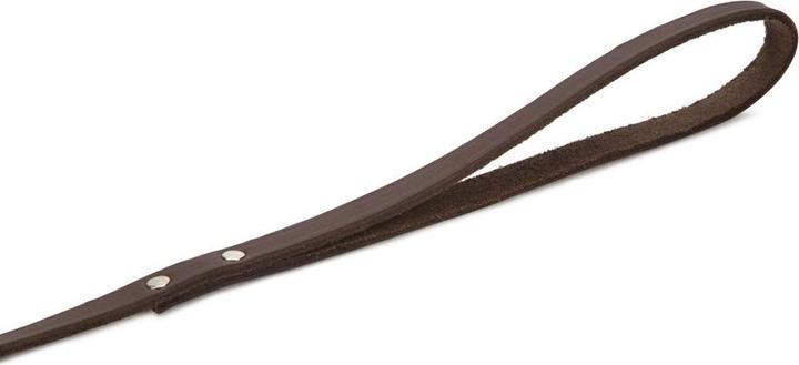 Image du produit Beeztees BZ LAISSE EN CUIR MARRON 165X12 (Chien)