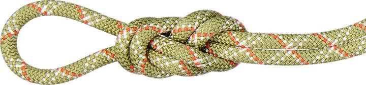 Actual product image Mammut 9.5 Gym Classic Climbing Rope (40 m)