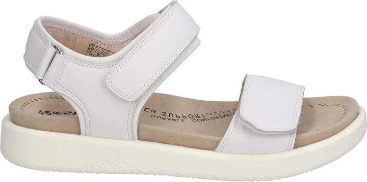 Actual product image Westland 25401-410 (42)