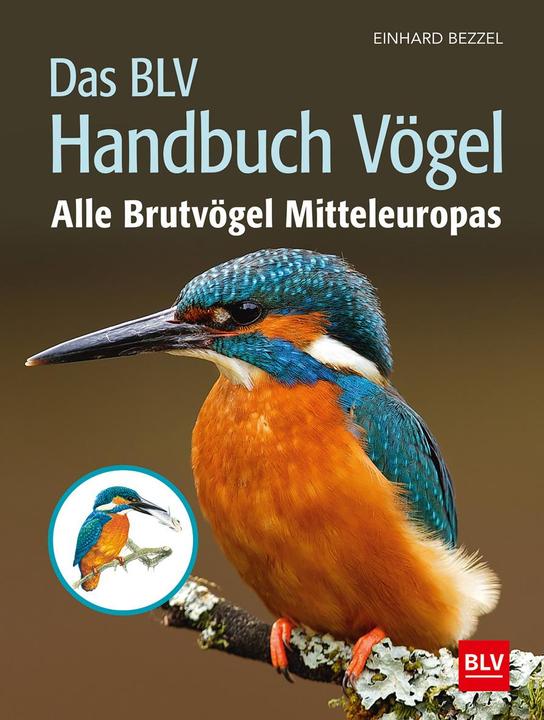 Immagine prodotto Das Handbuch Vögel (Tedesco, Einhard Bezzel, 2019)