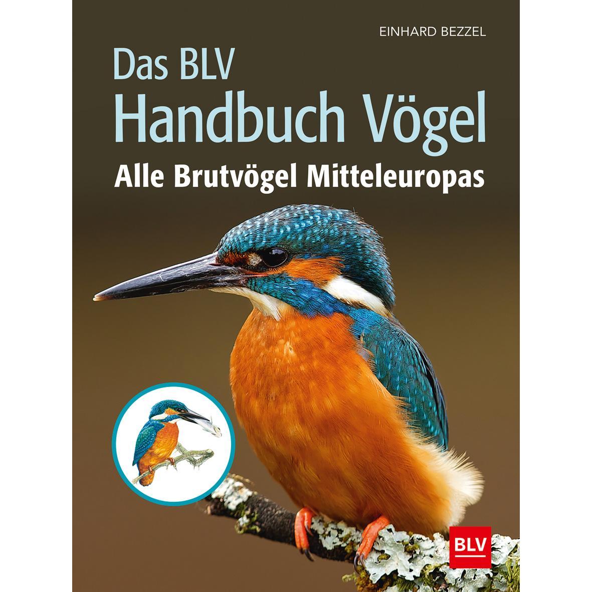 Thumbnail - Das Handbuch Vögel, Ratgeber von Einhard Bezzel