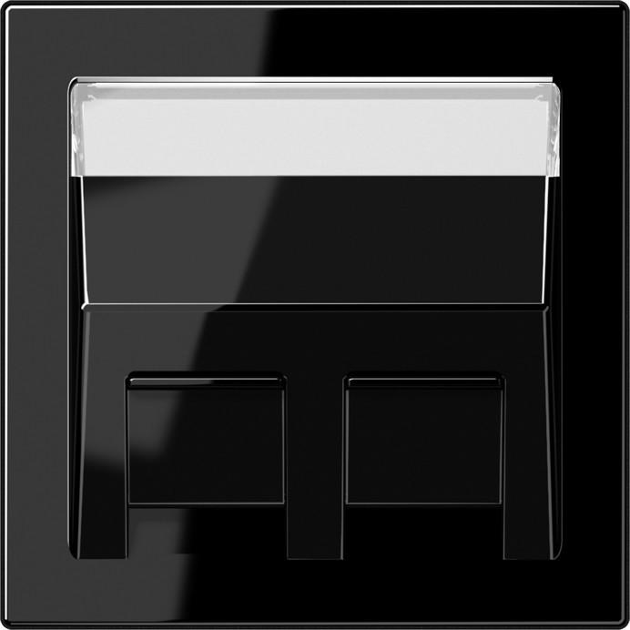 Actual product image JUNG Central plate Mod-Jack 2f LS sw glz LS569-30BFPLSW