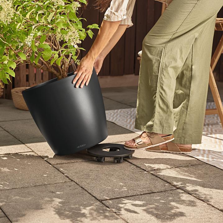 Image du produit Lechuza Classico Color (42 x 39.50 cm)