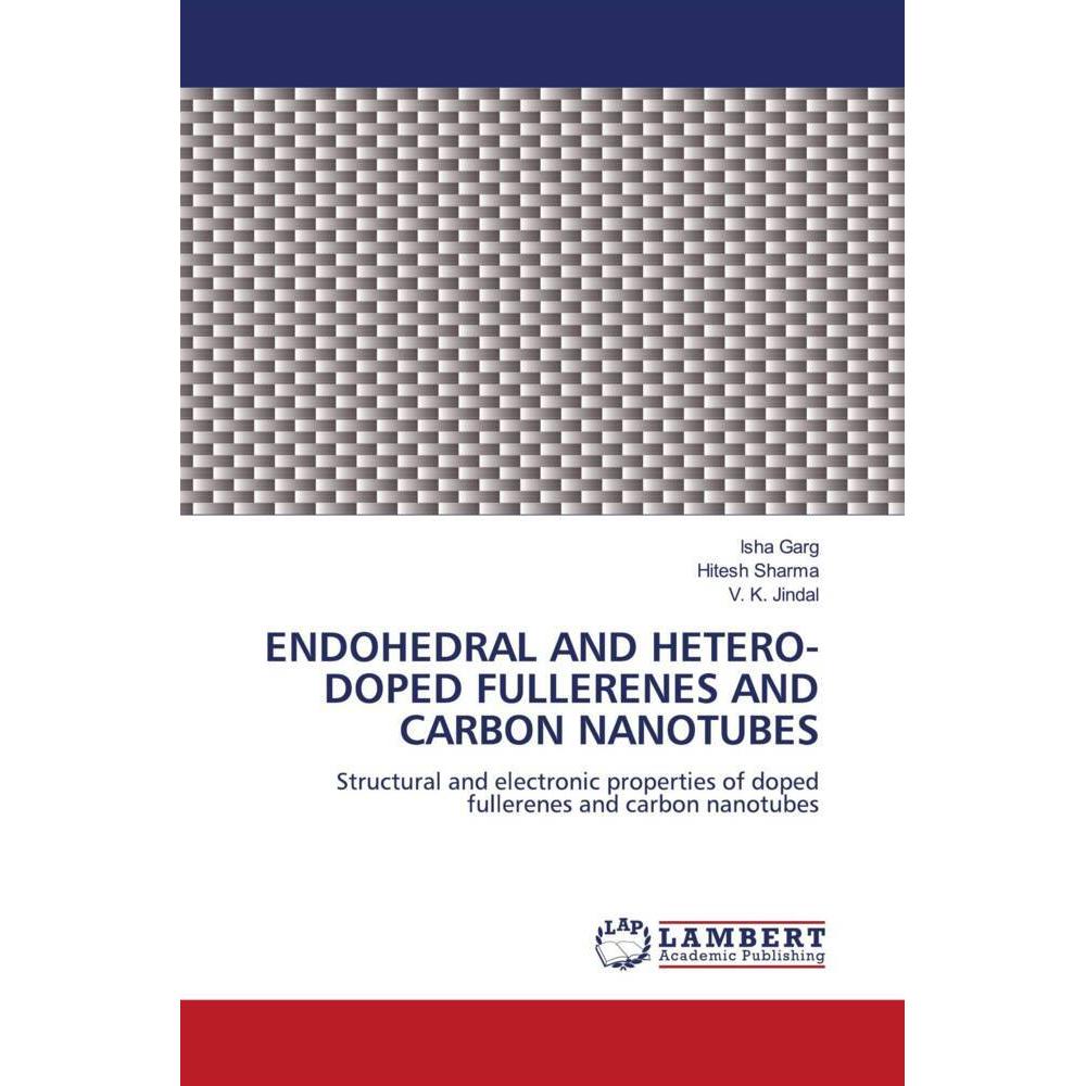 Endohedral And Hetero-Doped Fullerenes And Carbon Nanotubes, Fachbücher von Hitesh Sharma, V. K. Jindal, Isha Garg